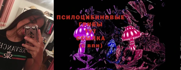 индика Алексеевка
