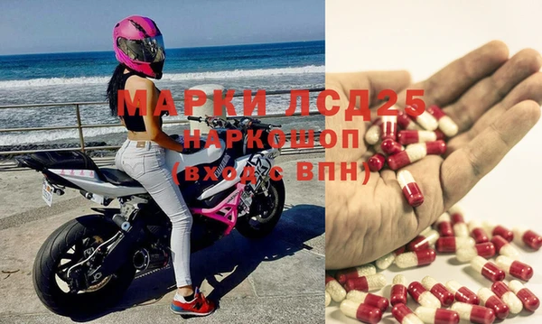 индика Алексеевка