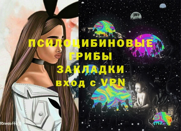 индика Алексеевка