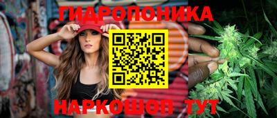 бошки Гусь-Хрустальный