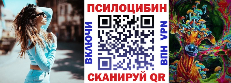 Псилоцибиновые грибы Cubensis  наркота  hydra вход  Люберцы 
