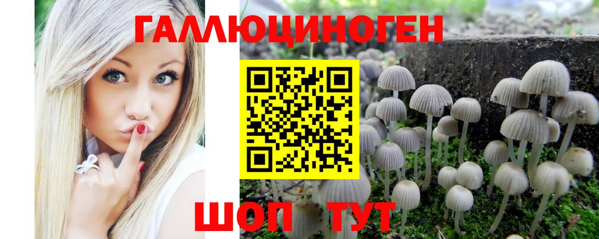 Люберцы  Галлюциногенные грибы MAGIC MUSHROOMS  Вход с VPN 