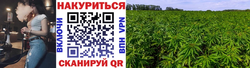 Канабис MAZAR  OMG рабочий сайт  Люберцы  закладки 
